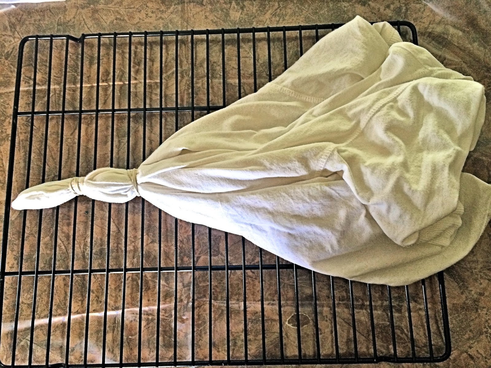 Shirt fully banded and ready for dye — two rubber bands creating the sunburst sections
