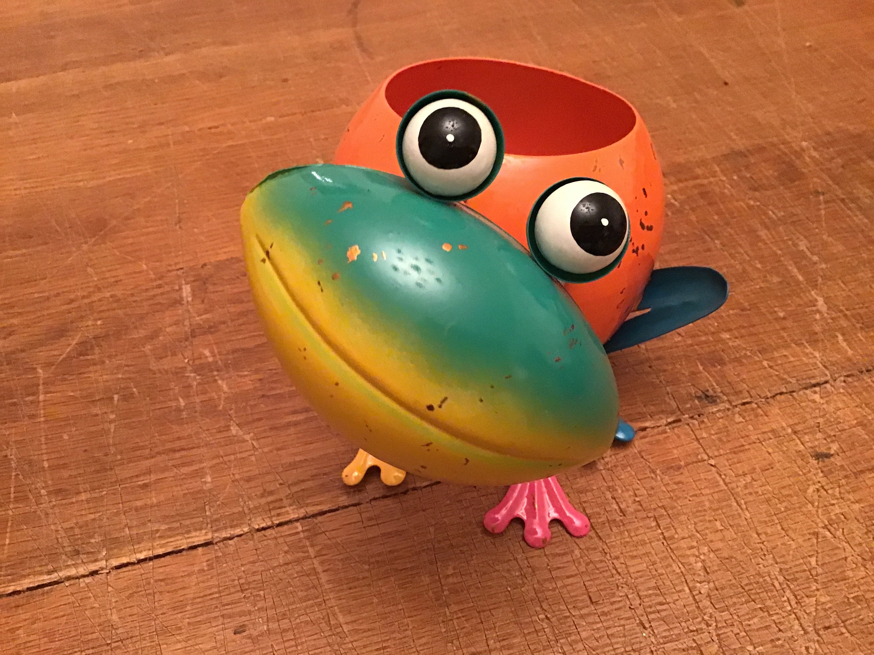 Friendly Frog