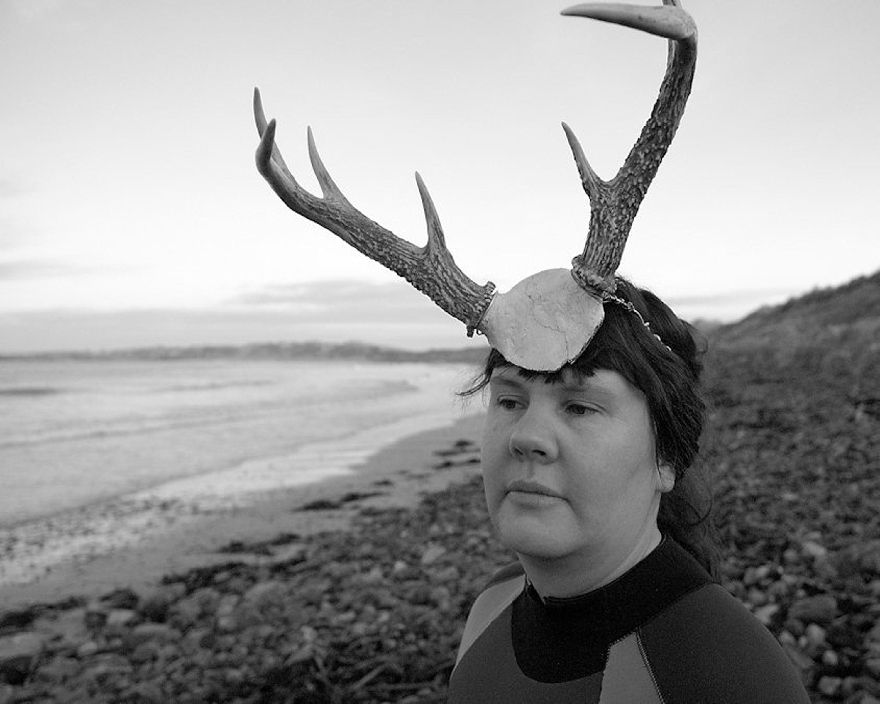 Stag in the sea