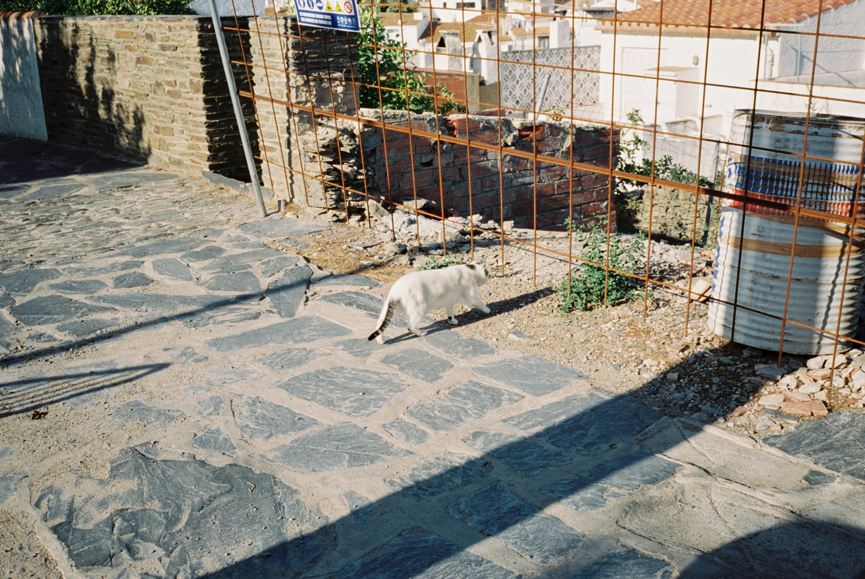 Stone Walkway
