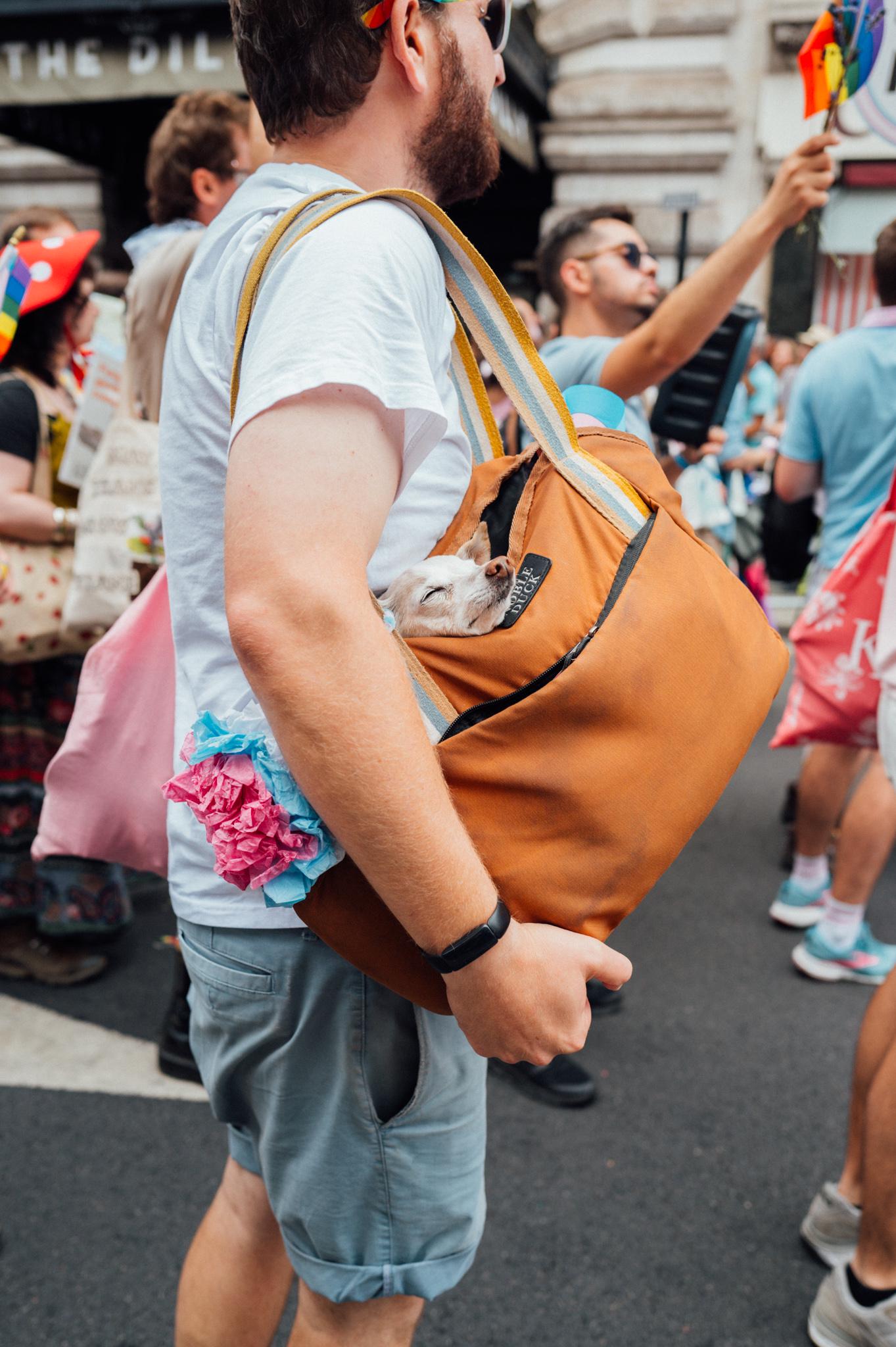London Pride Parade 2025