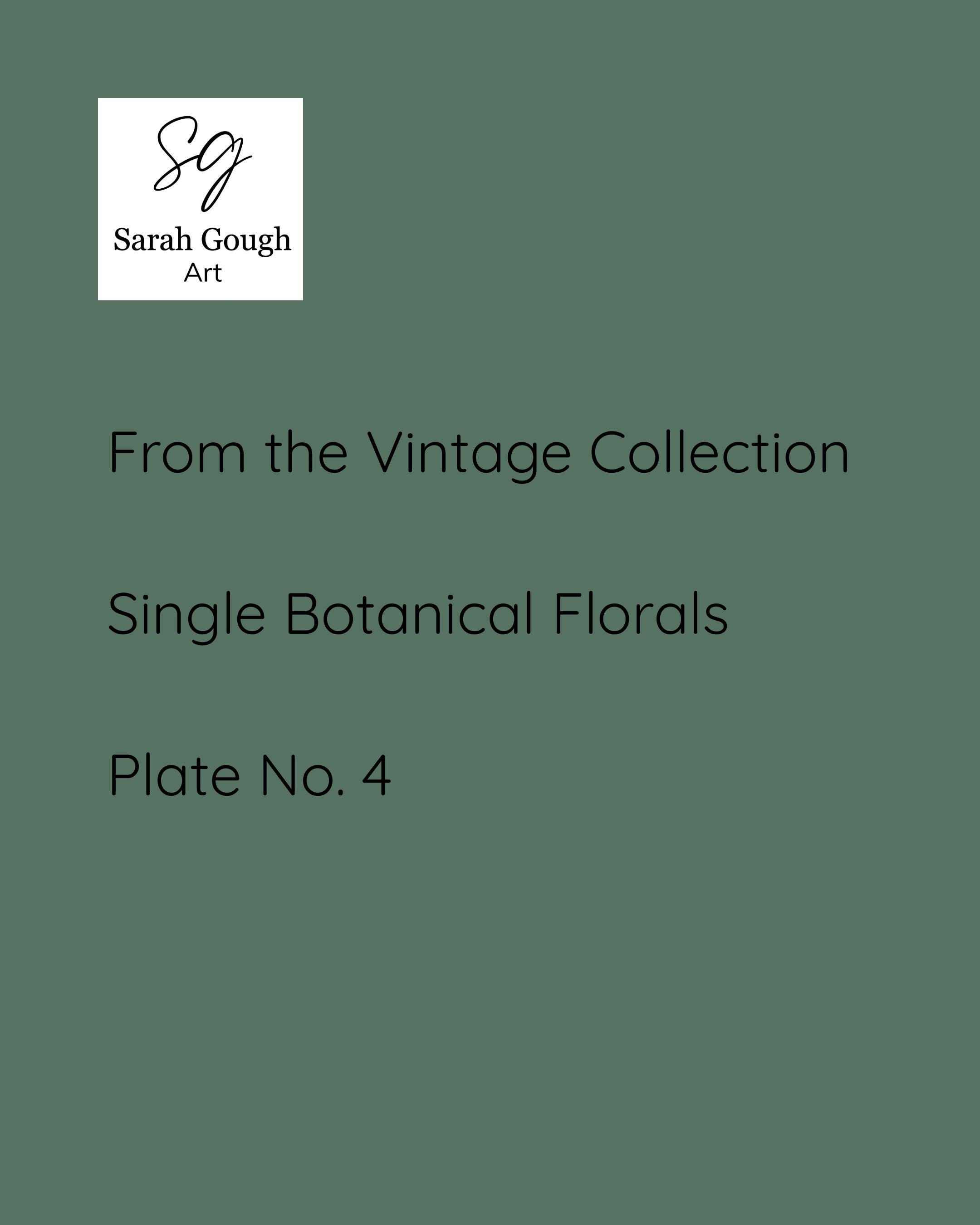 From the Vintage Collection, Single Botanical Florals, Plate No.4
