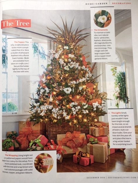 Magazine3