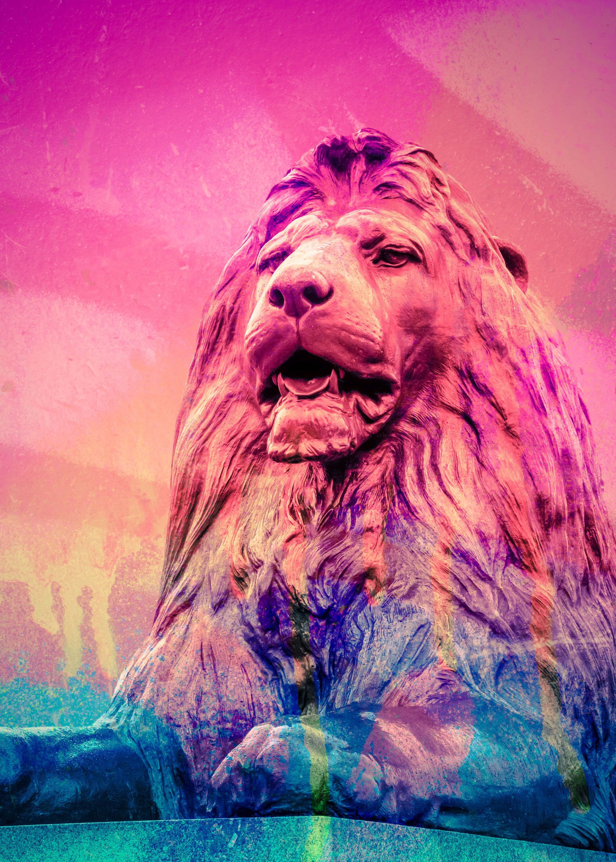 london fine art print of trafalgar square lion statue with graffiti