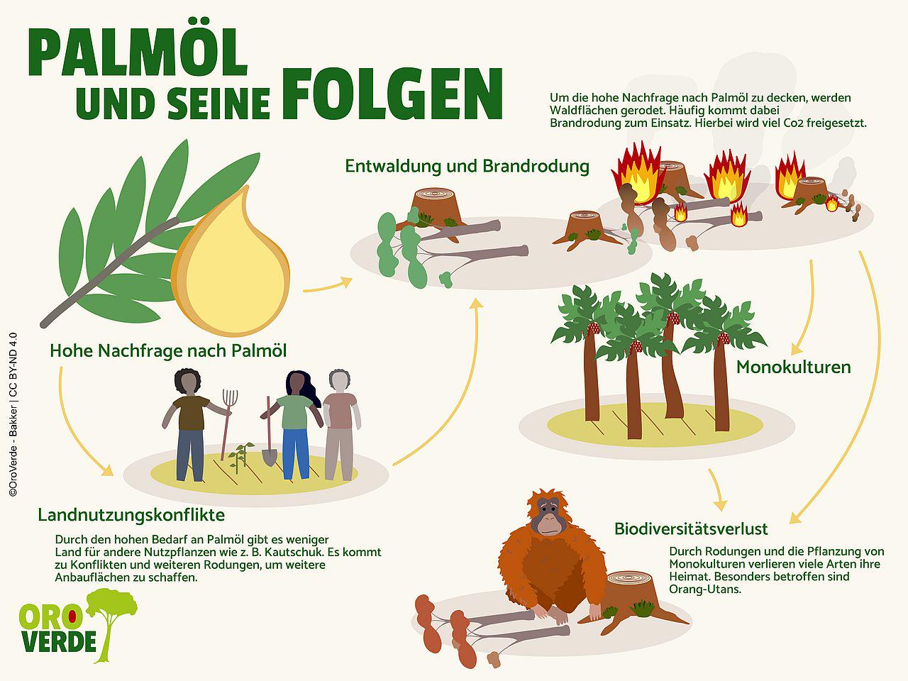 Palmöl folgen