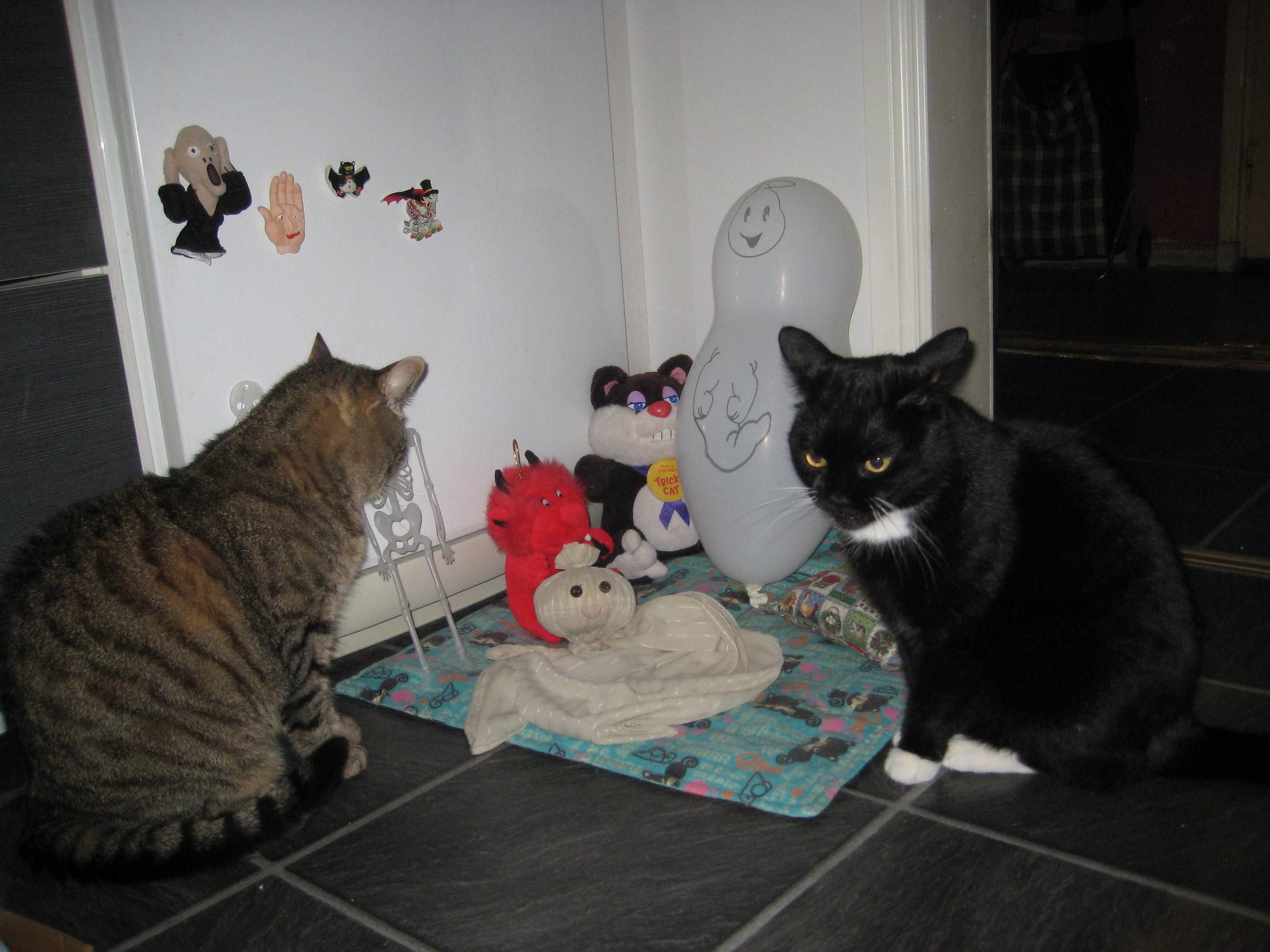 Crafts4Cats