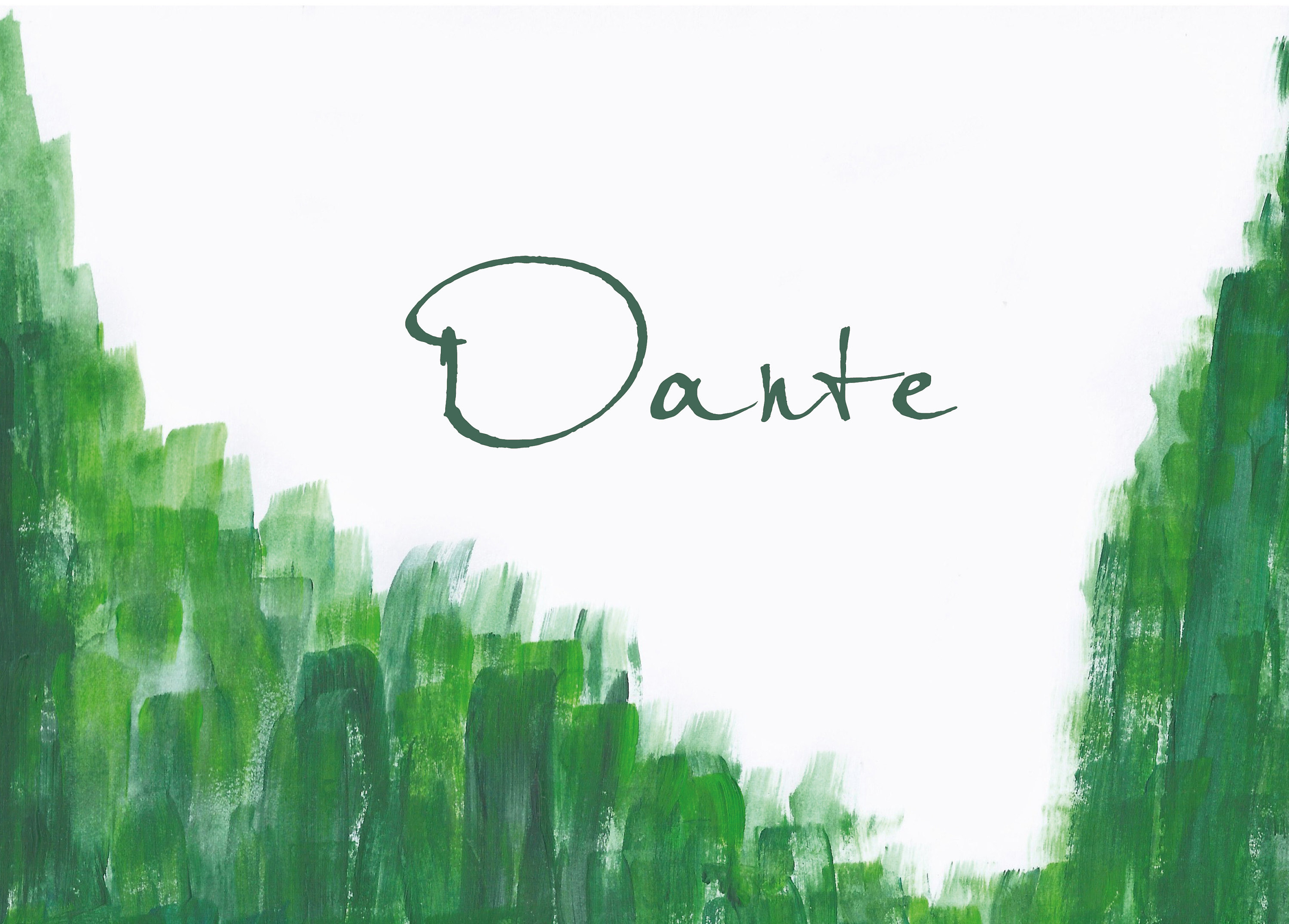 Geboorte kaartje Danten