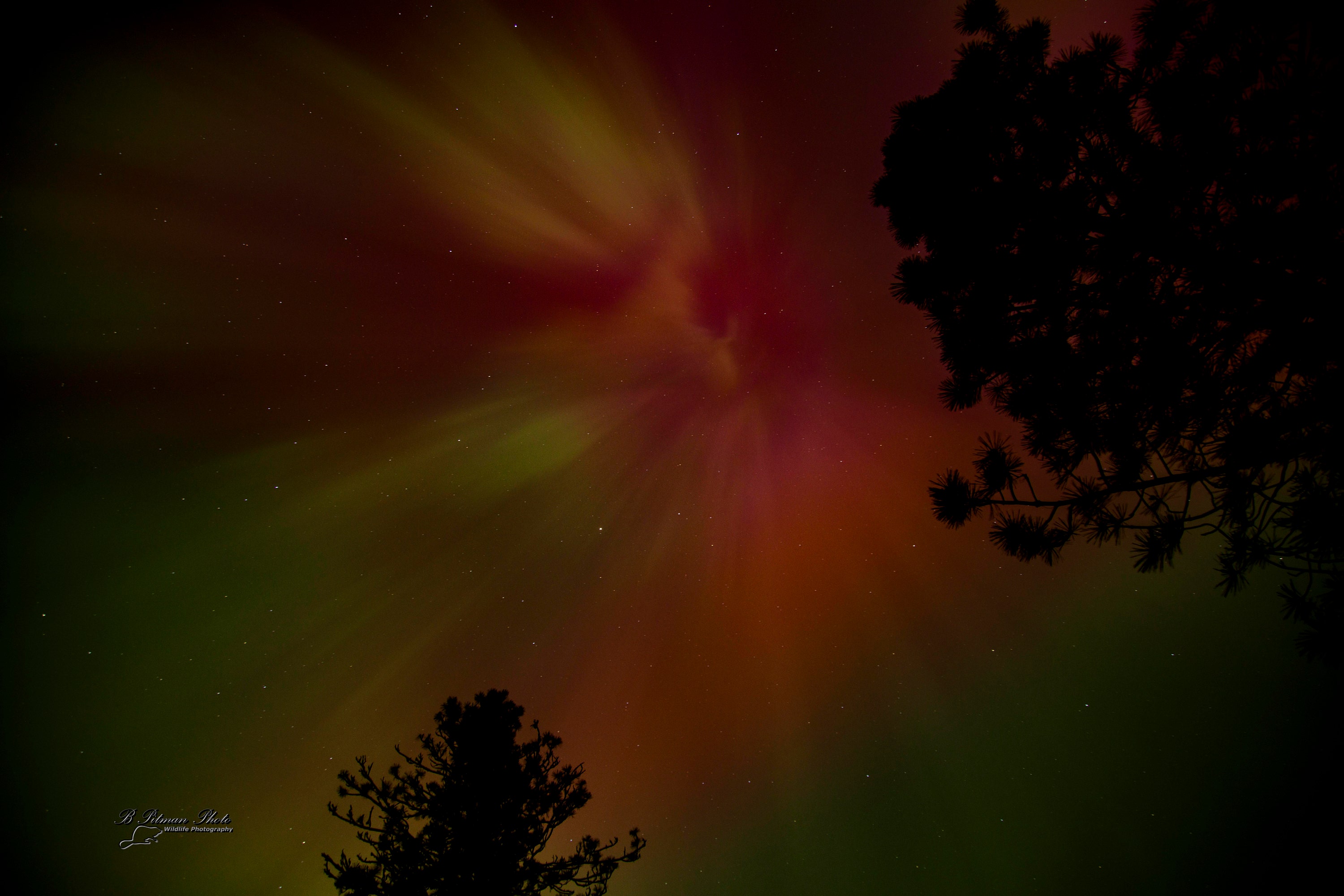 May 10th Aurora with Yellow Hue Adjustment