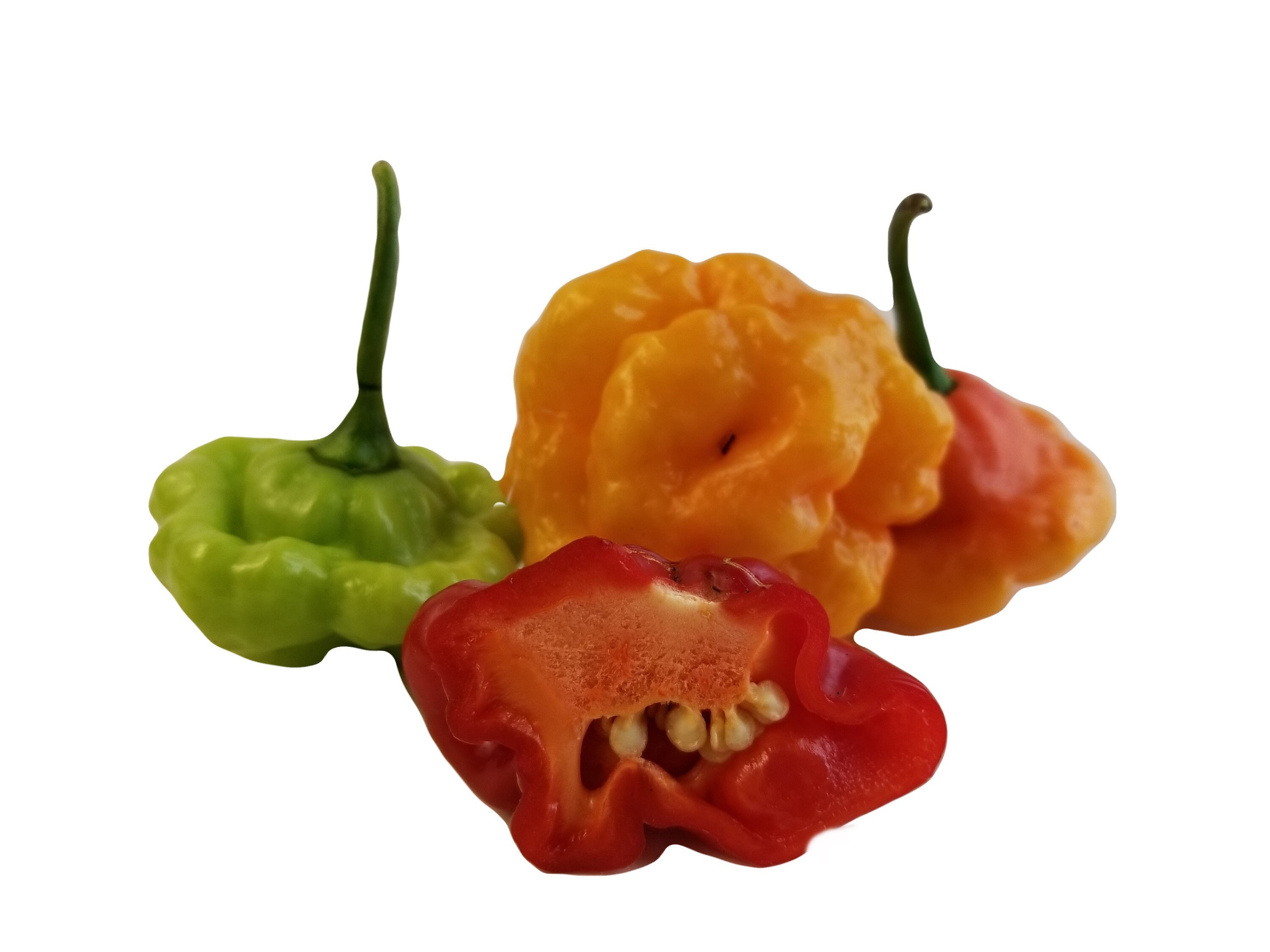 Buy Aji Dulce Seeds at EverythingPeppers.com