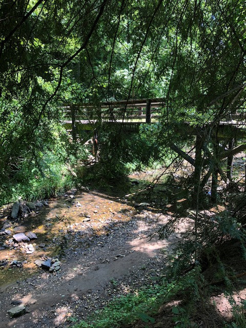 The Botanical Gardens of Asheville