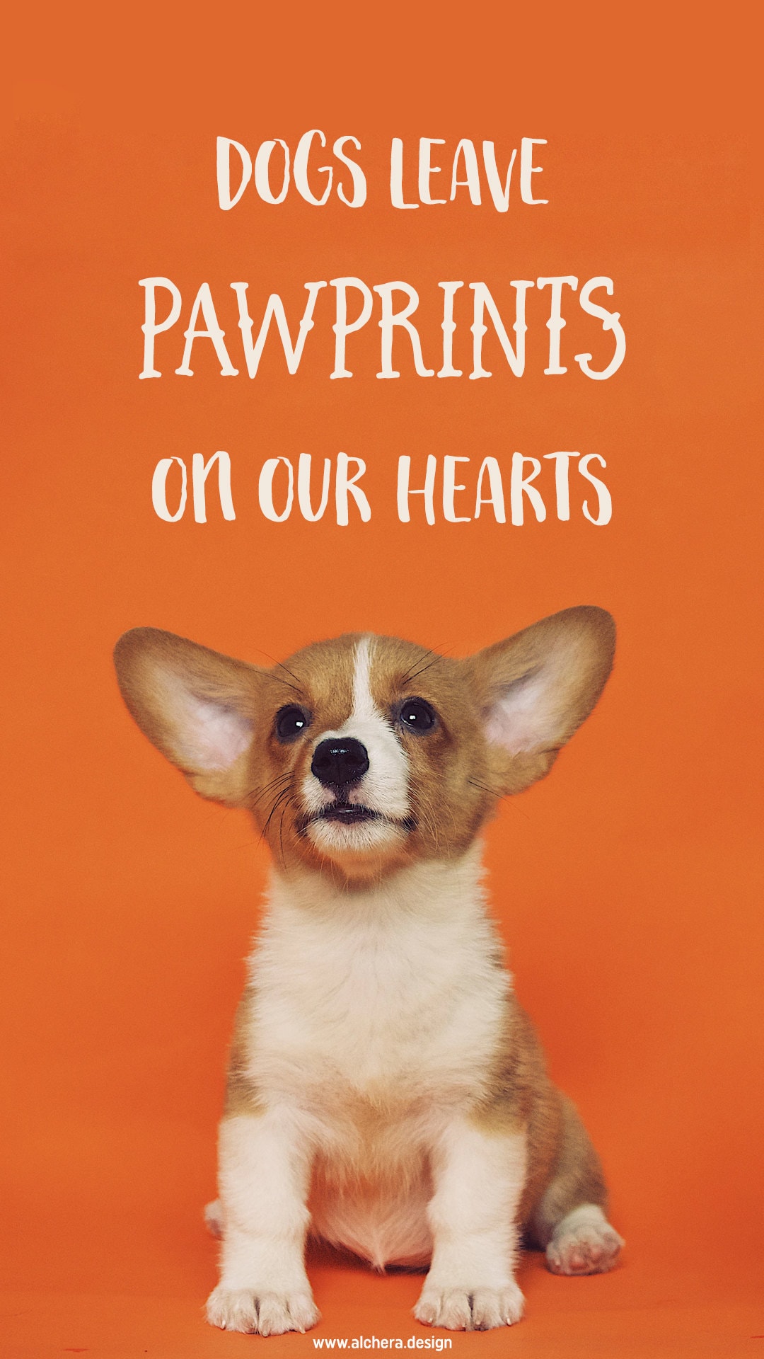 Dogs leave paw prints on our hearts.