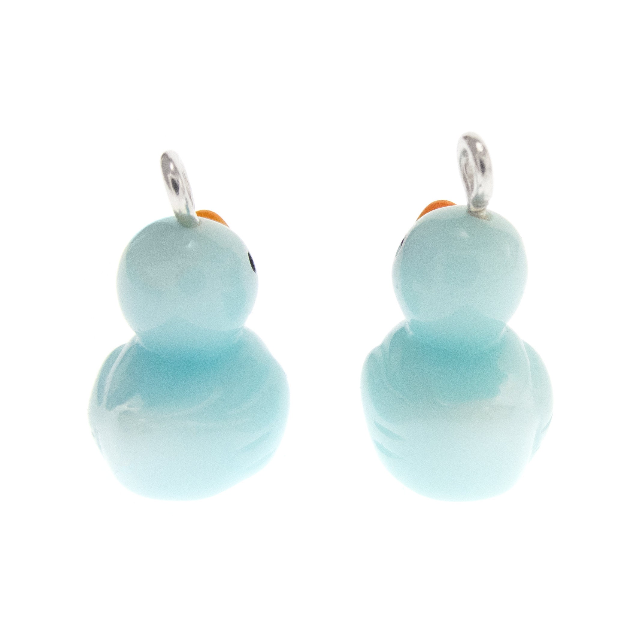 Duck Earrings Blue