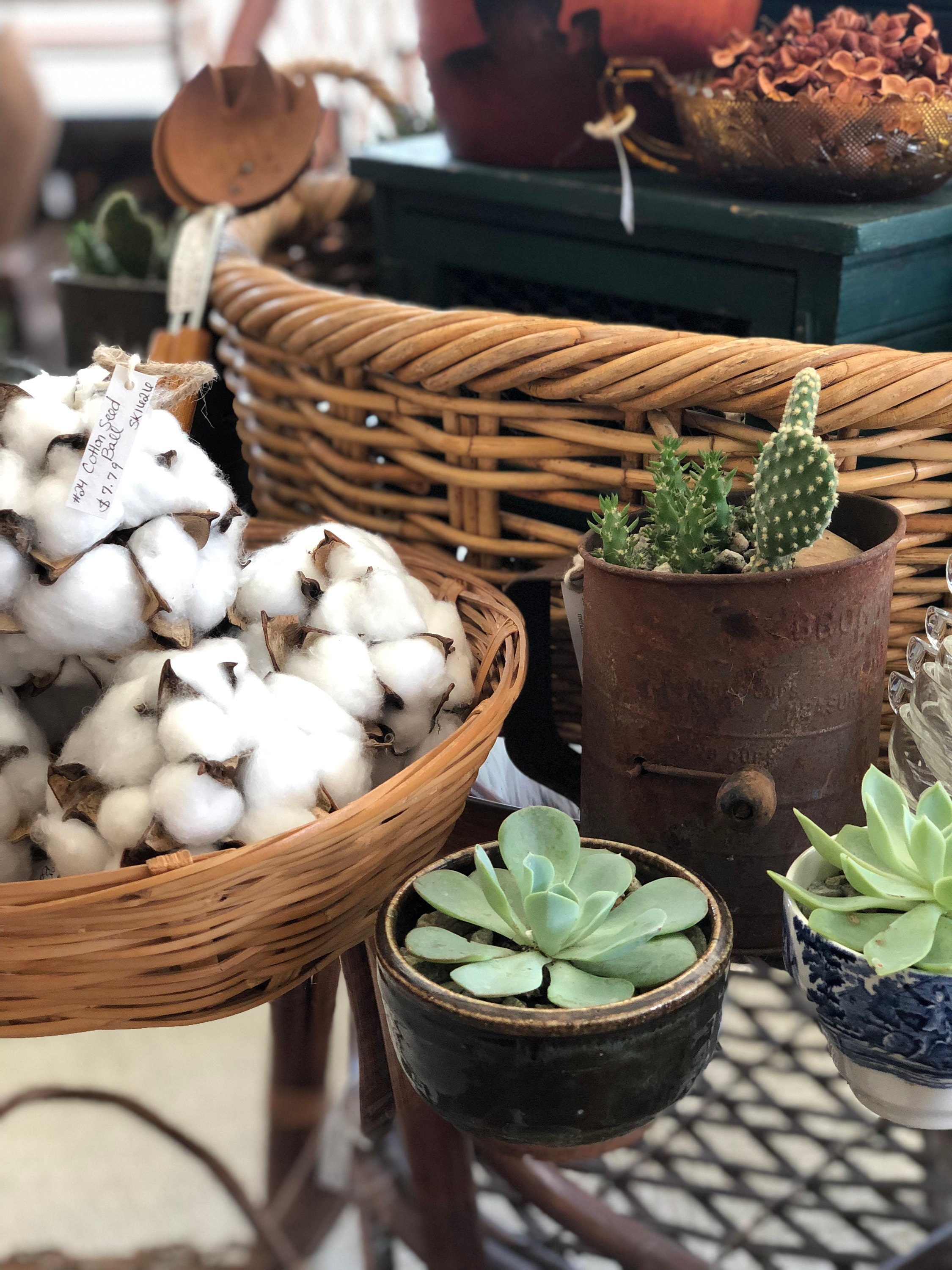 mendez manor vintage shop