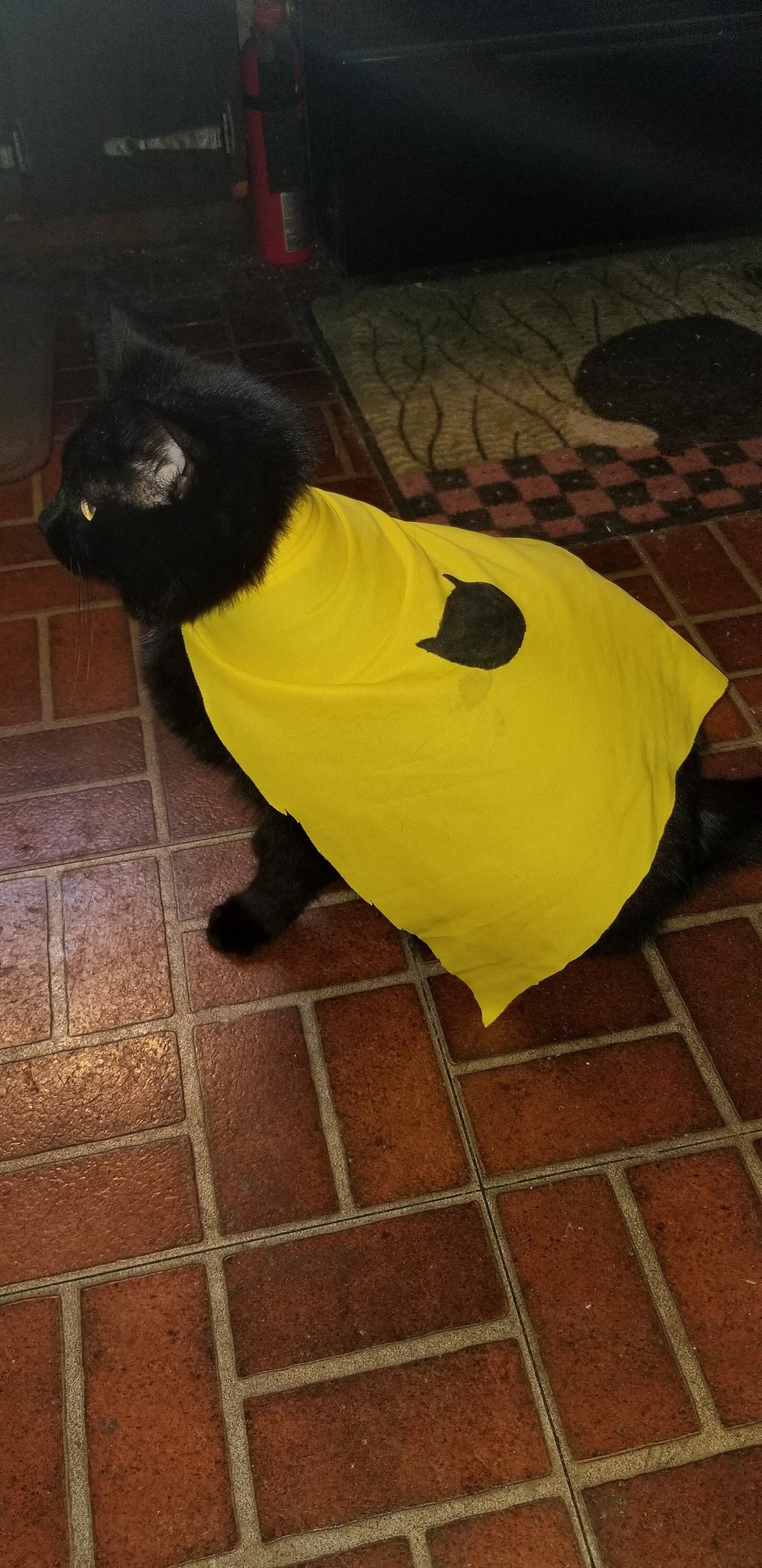 Crafts4Cats