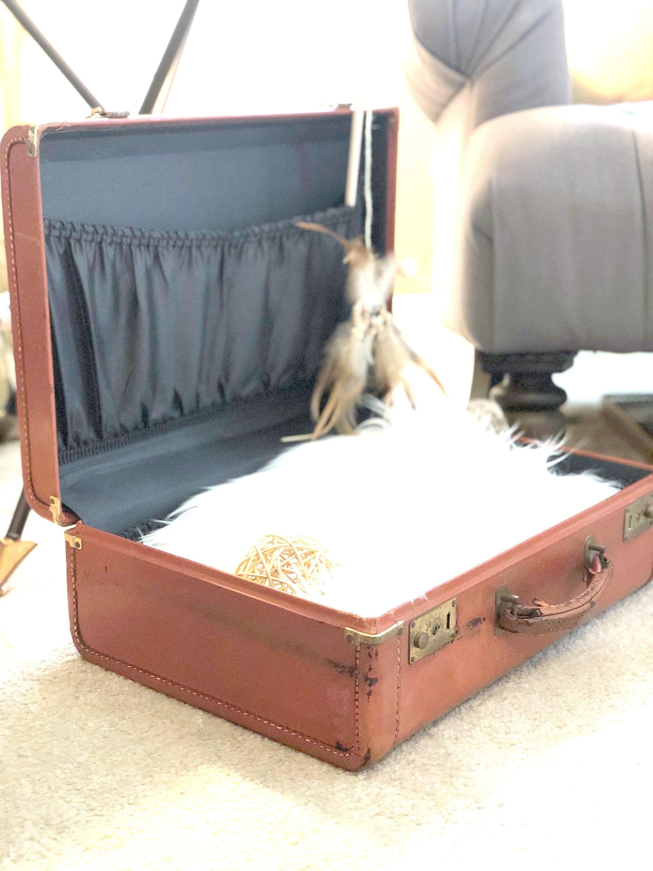vintage suitcase cat bed