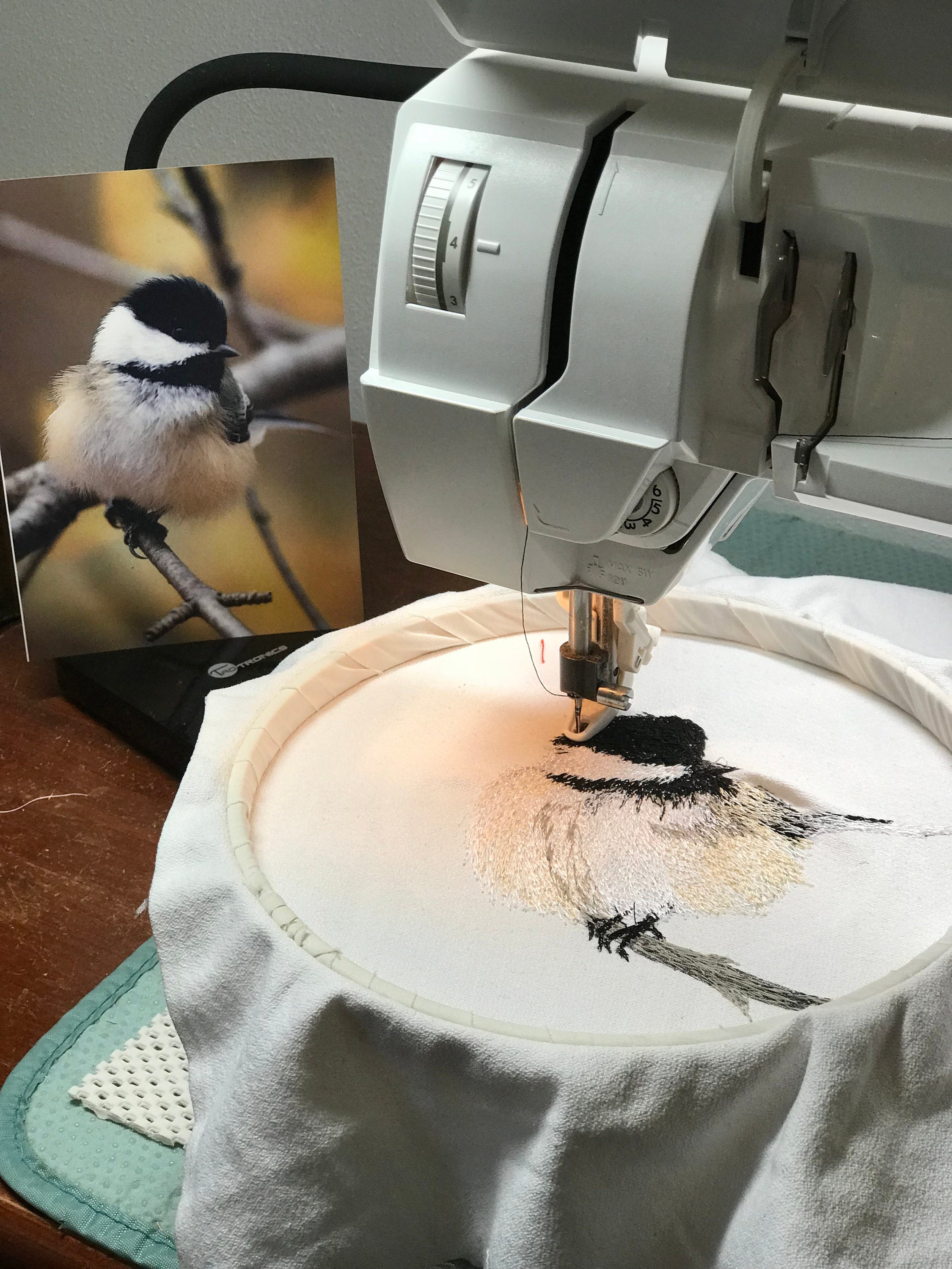 One of my favorites...My Little Chickadee
