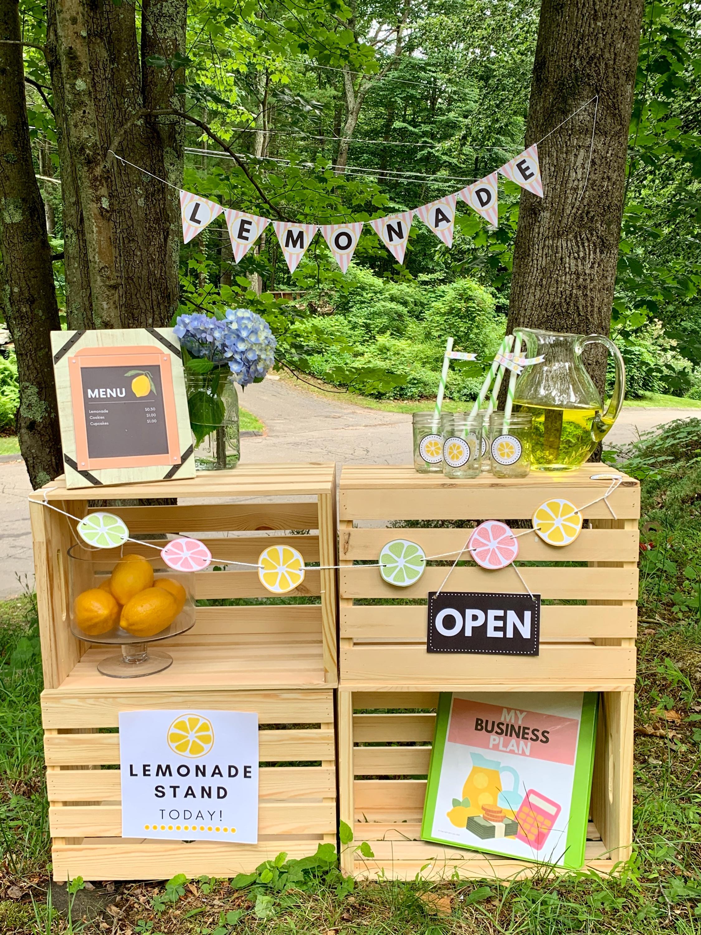 Lemonade Stand SetUp
