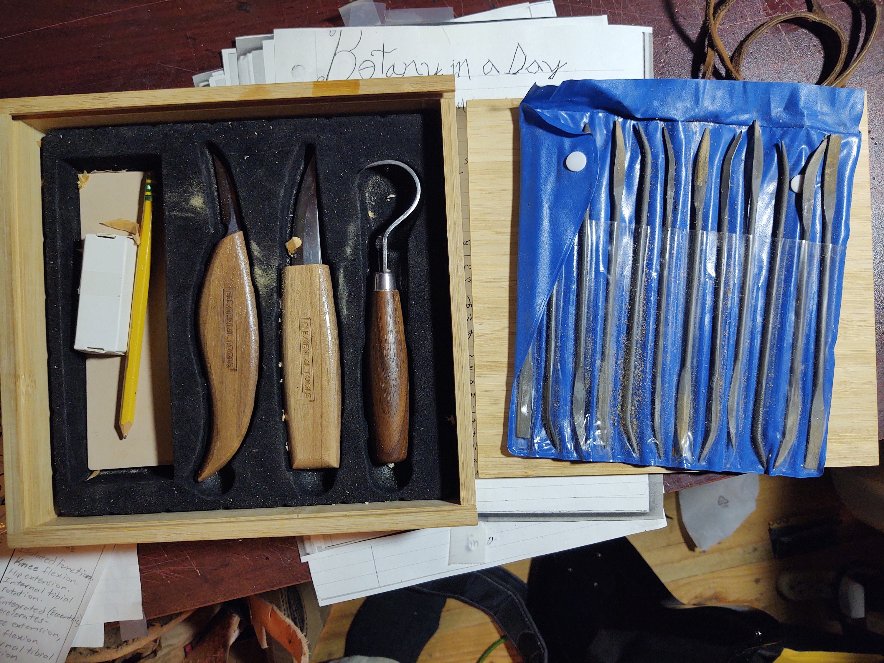 my tools - whittling knives and riffler files