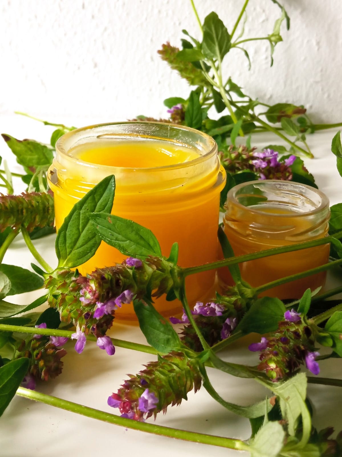 Prunella Vulgaris Salve form The Green Witch Harvest
