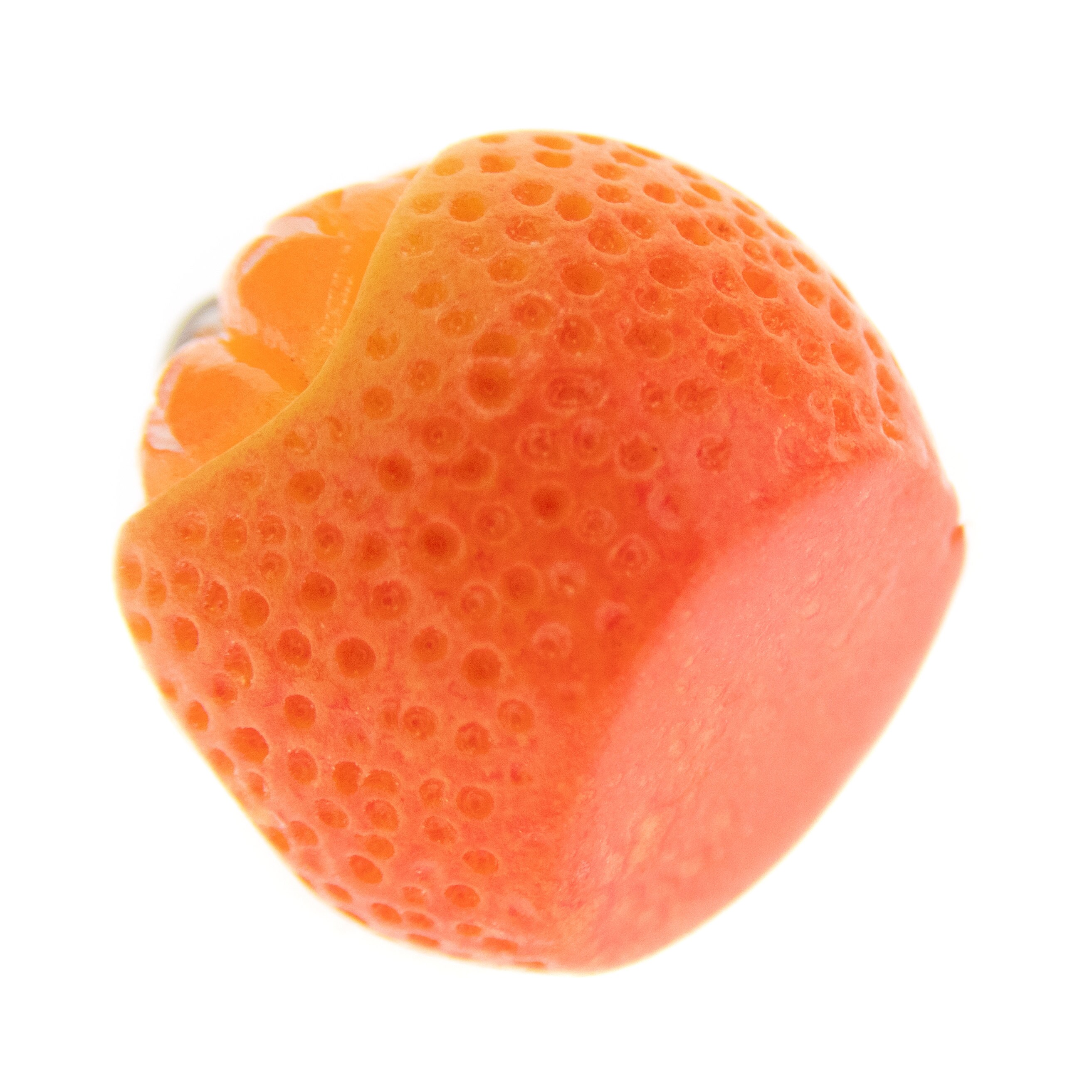 Fruit and Vegetable Jewellery. Orange Fruit Necklace