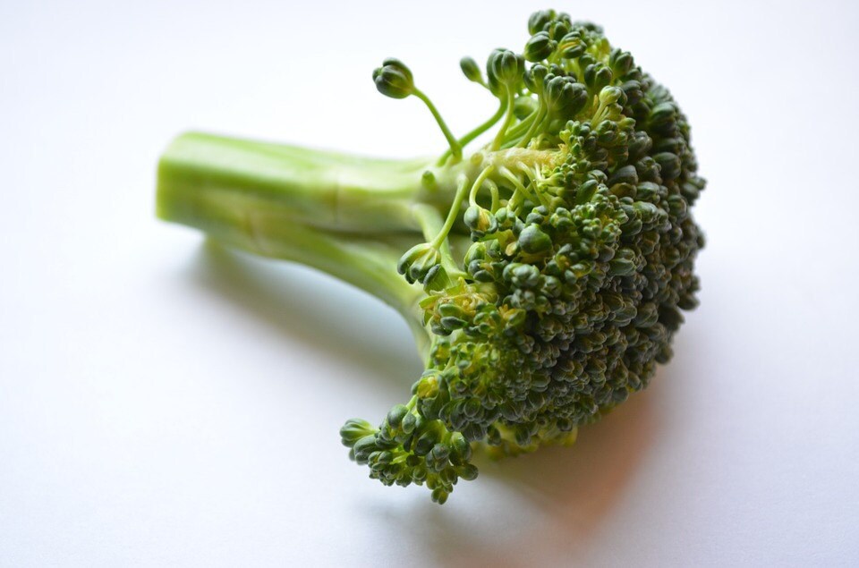 Broccoli