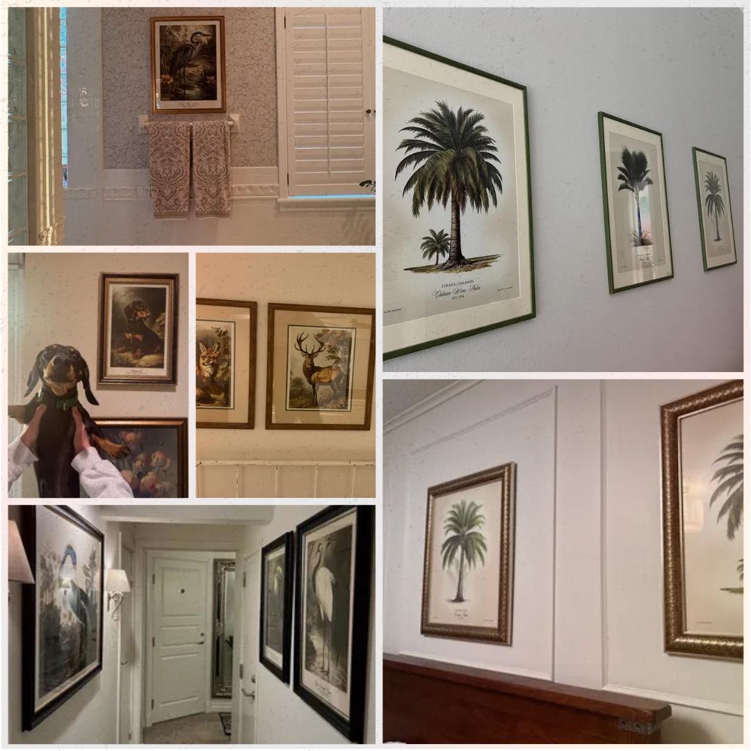 A collage of prints hung in hallways of hoetls