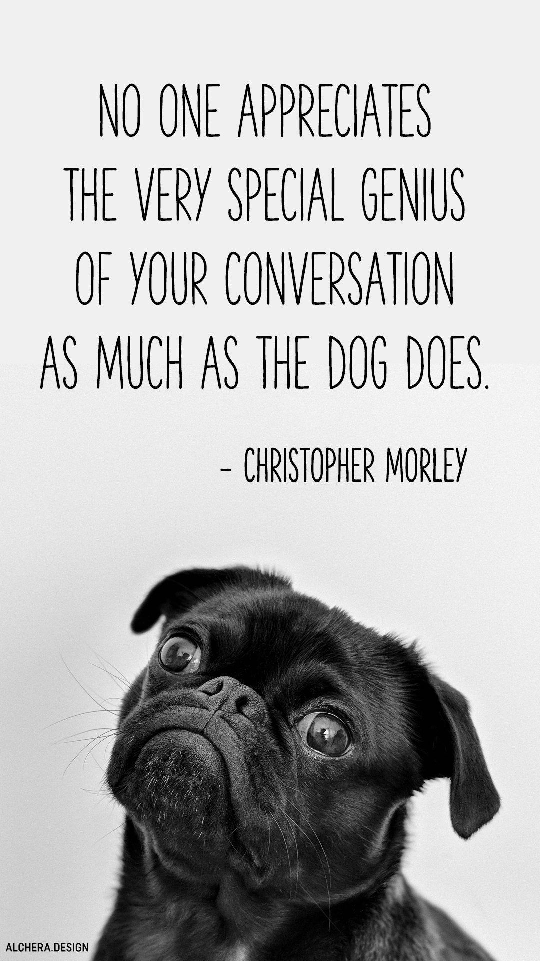 No one appreciates the very special genius of your conversation as the dog does.