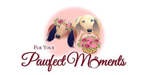 @furyourpawfectmoments Central California