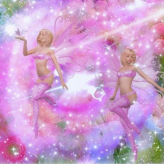patinia summer