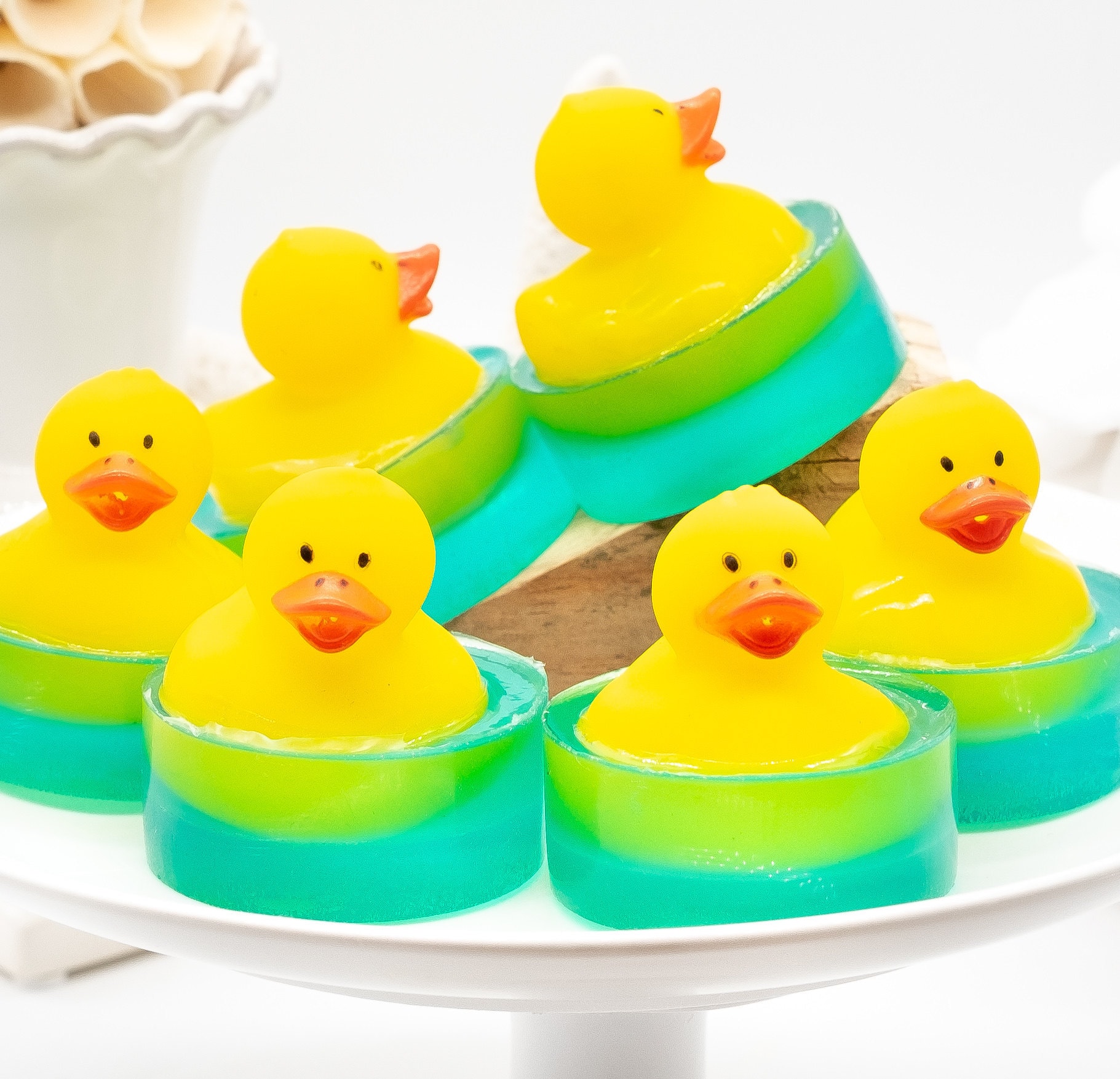 SIX Ducks in Puddles Set