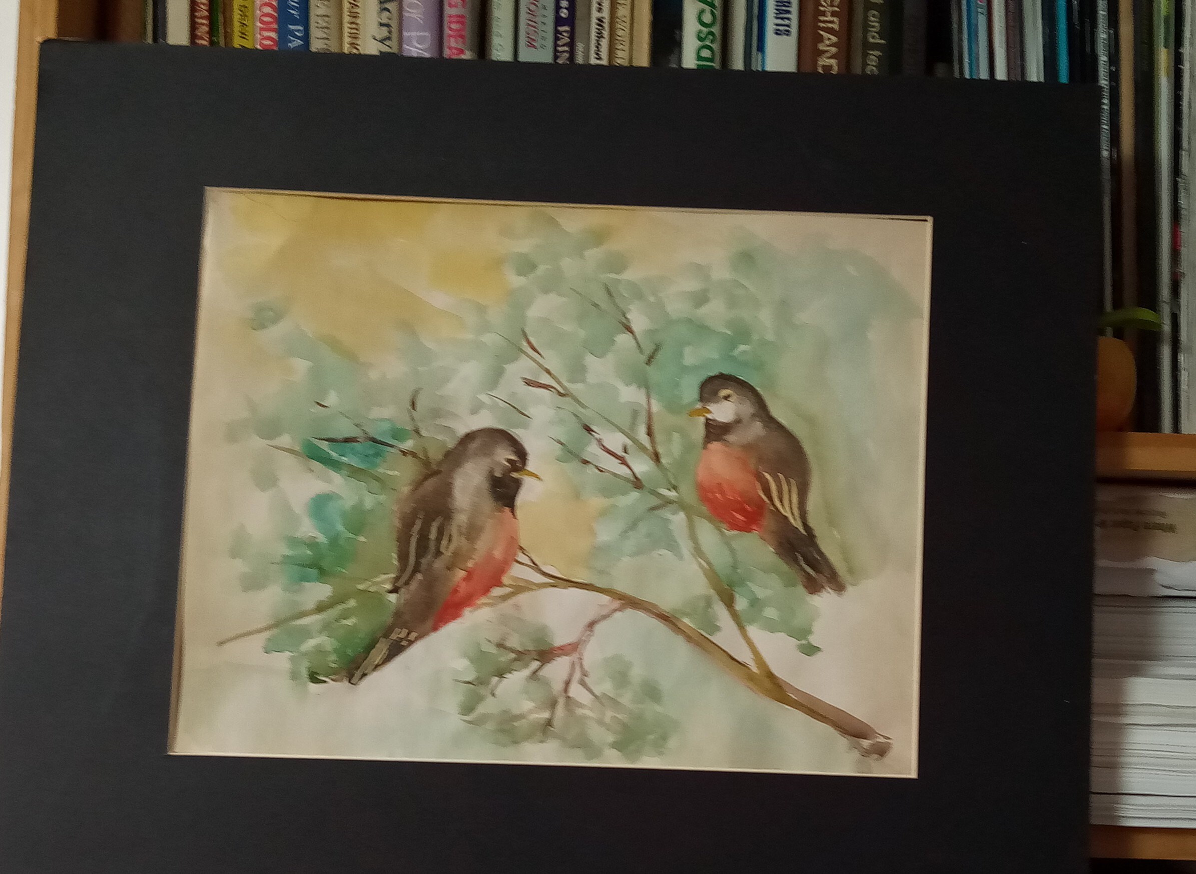Tween Red Brested Brids
