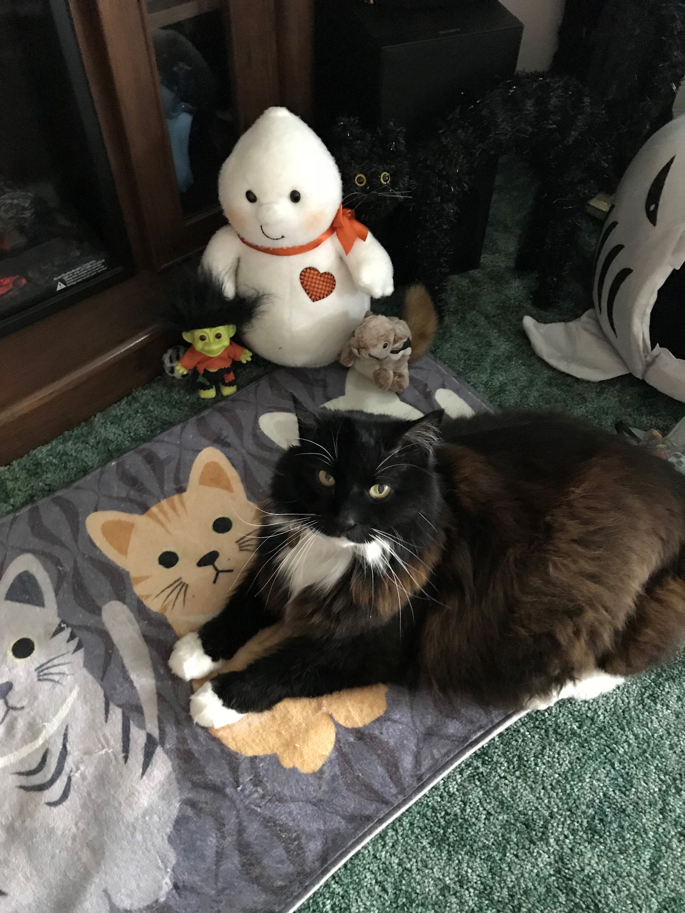 Crafts4Cats