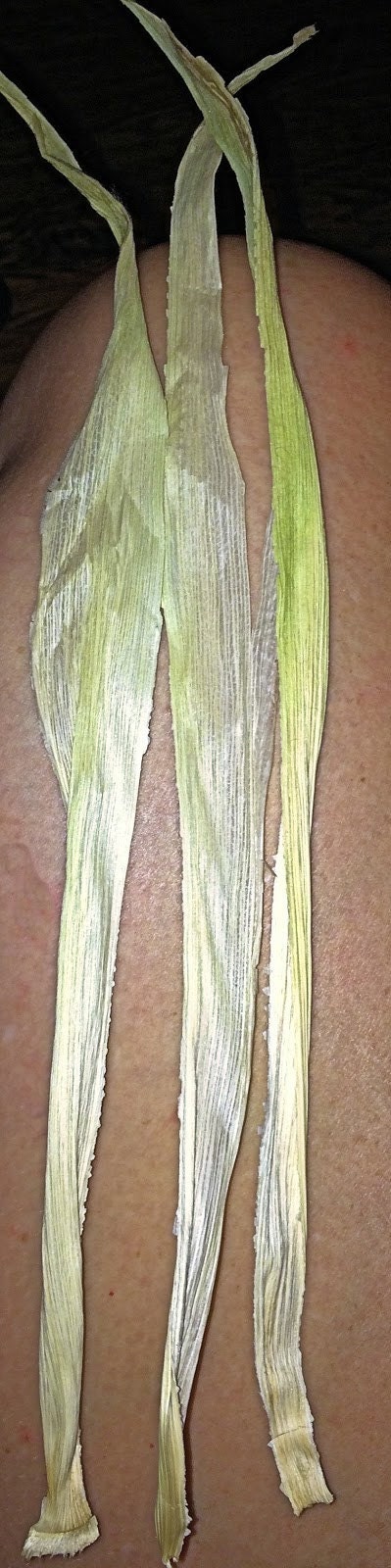 One corn husk separated into three strips for the arms
