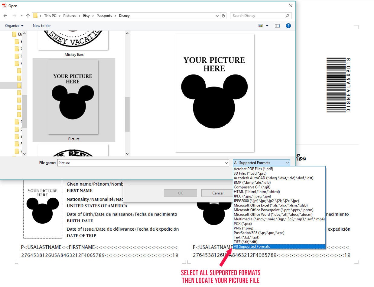 Step 2: Select All Supported Formats