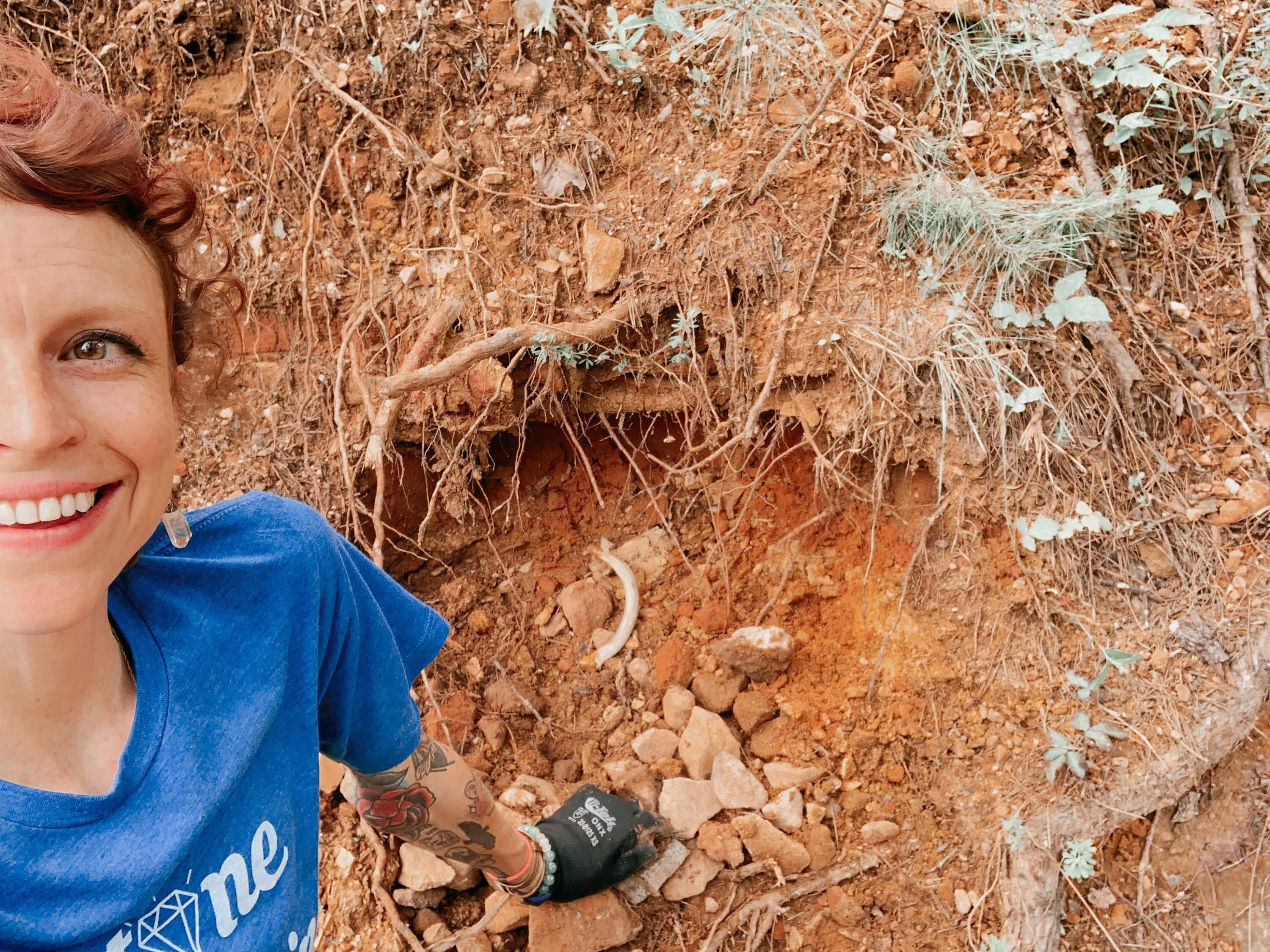 Crystal Diggin' - Crystal Vista- Find CRYSTALS in Arkansas
