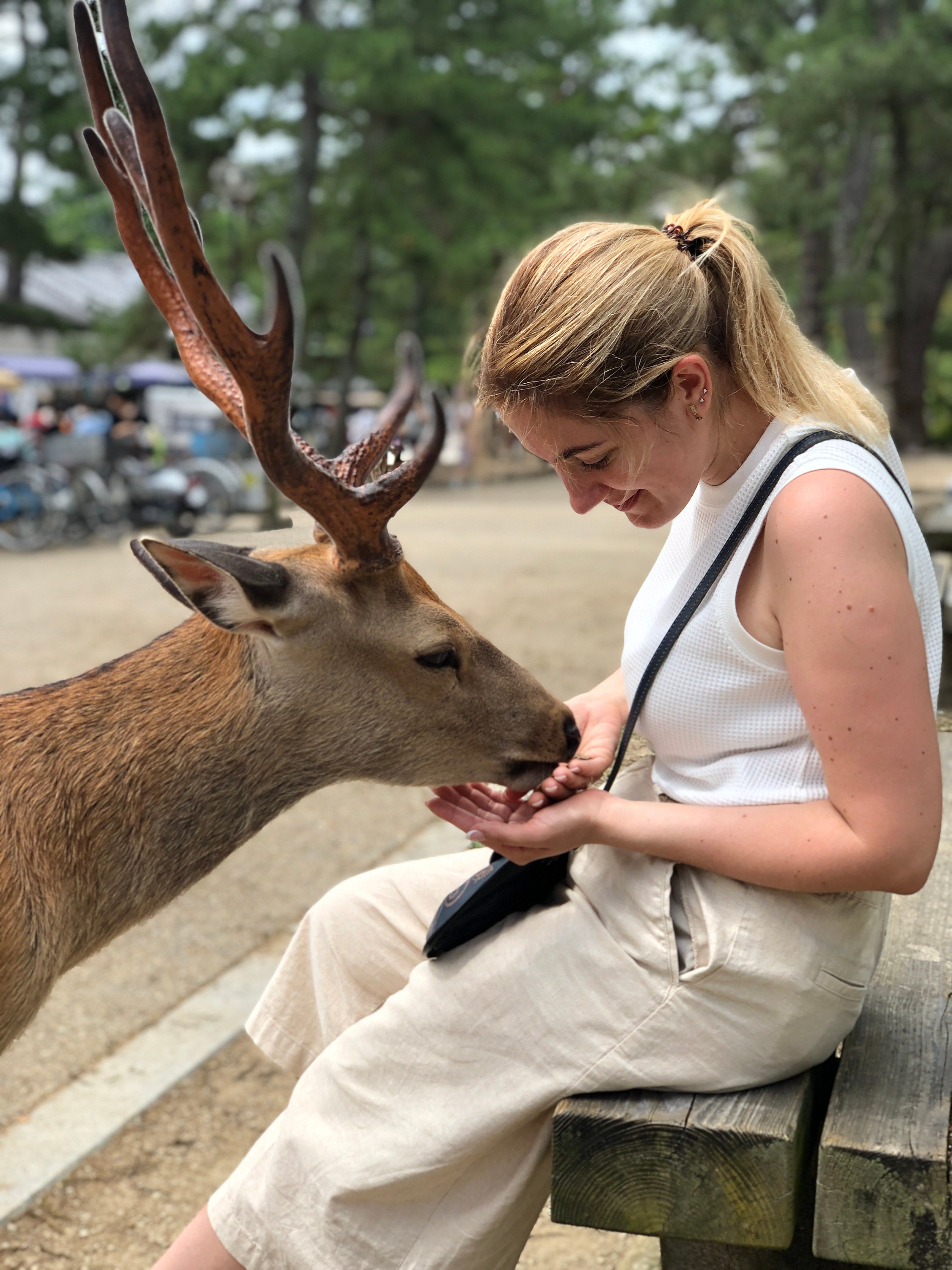 Me in Nara, Japan