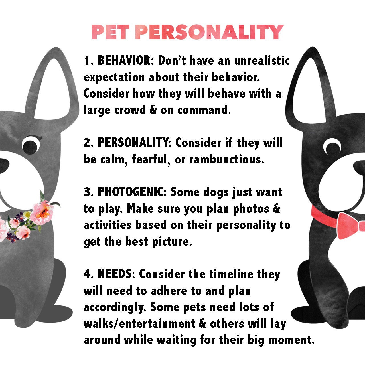 Pet Personality For Wedding Involvement