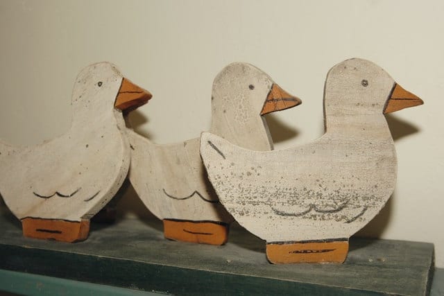 duckies in a row