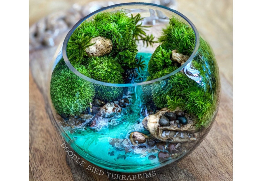 Tropical diorama terrarium by Patricia Buzo