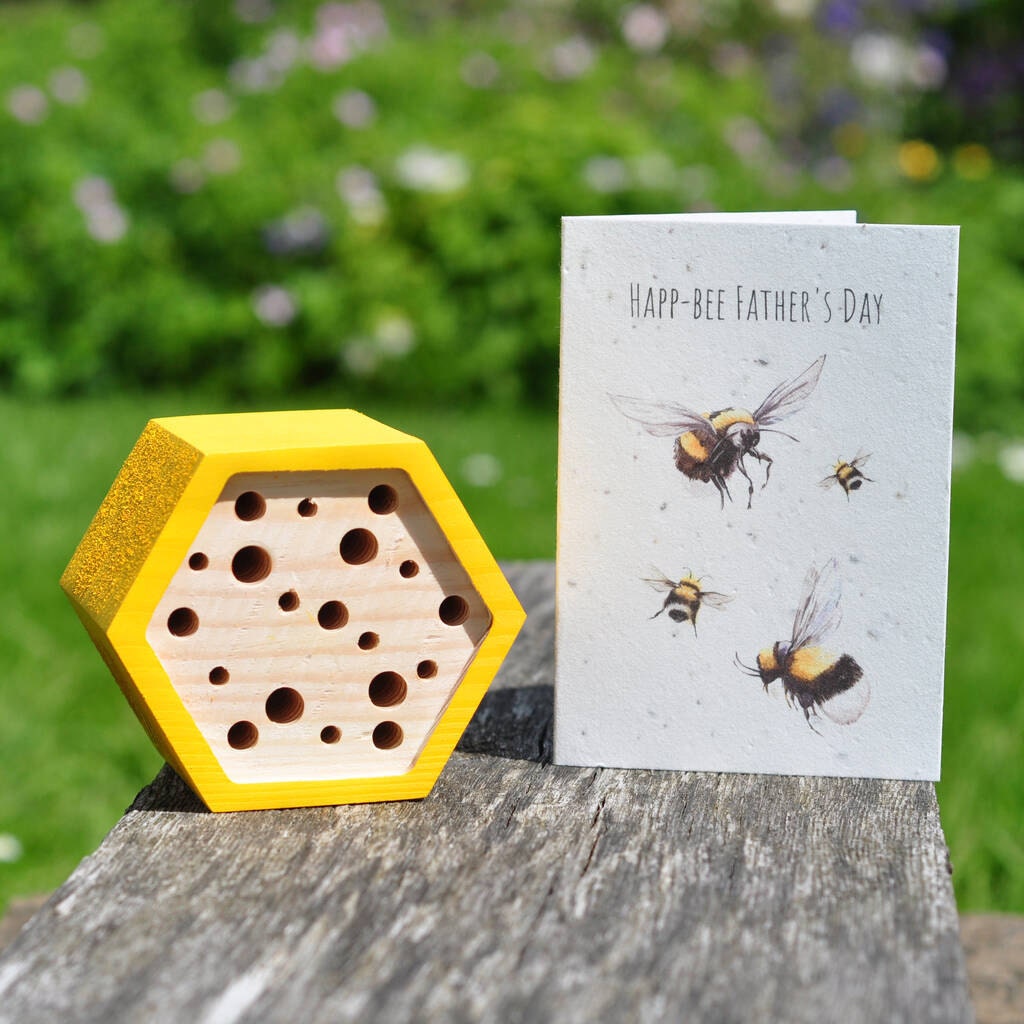 fathers day bee house gift