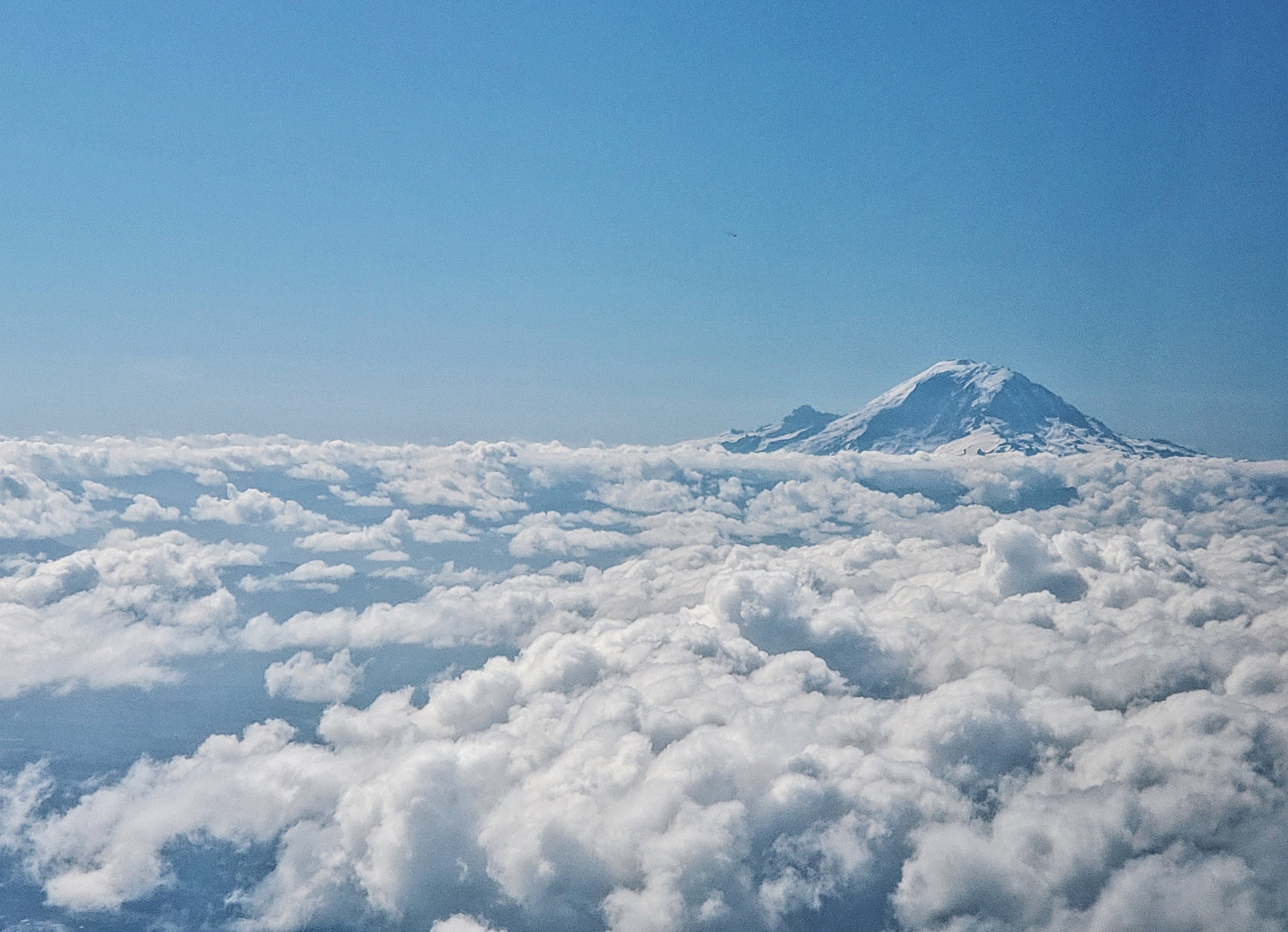 Rainier