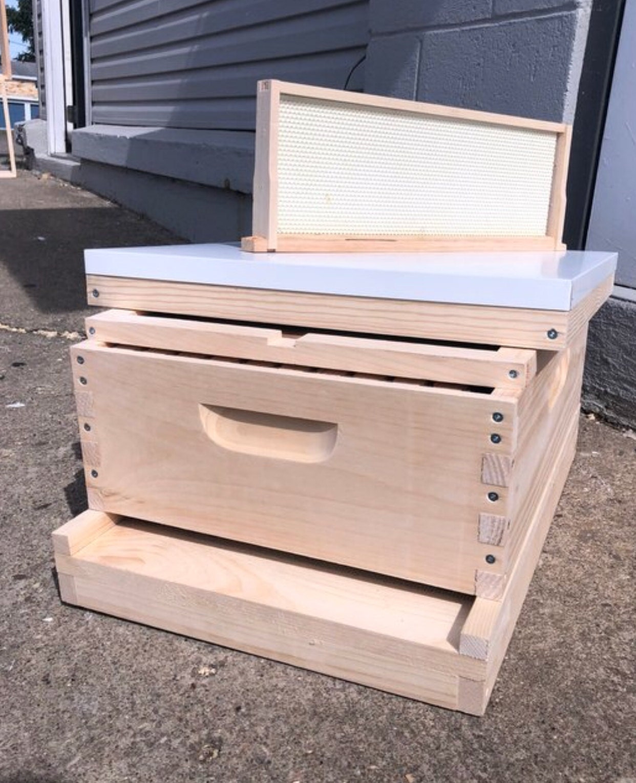 6 5/8 Medium Starter Bee Hive