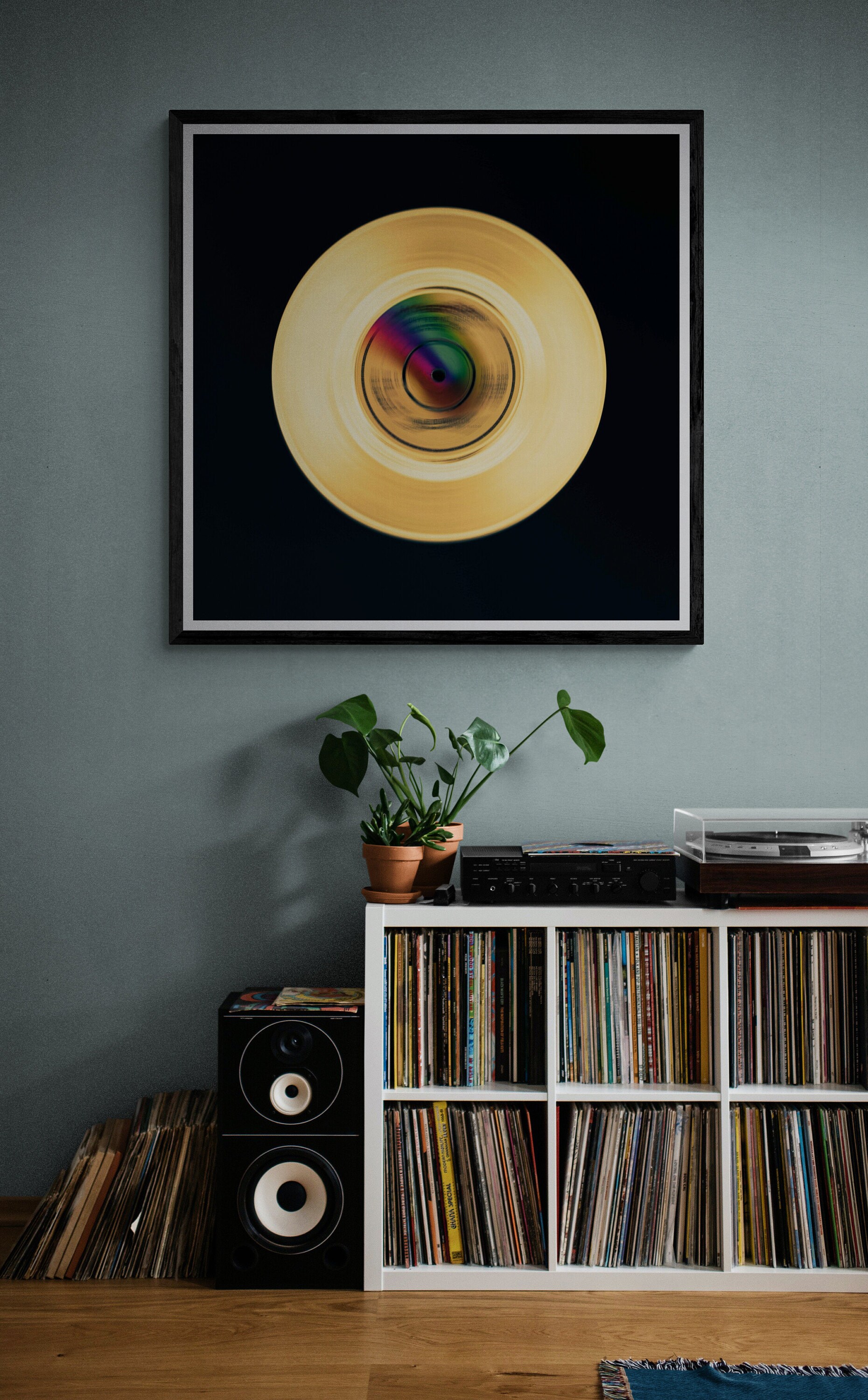 gold disc vinyl record art print- fine art photography of vinyl records