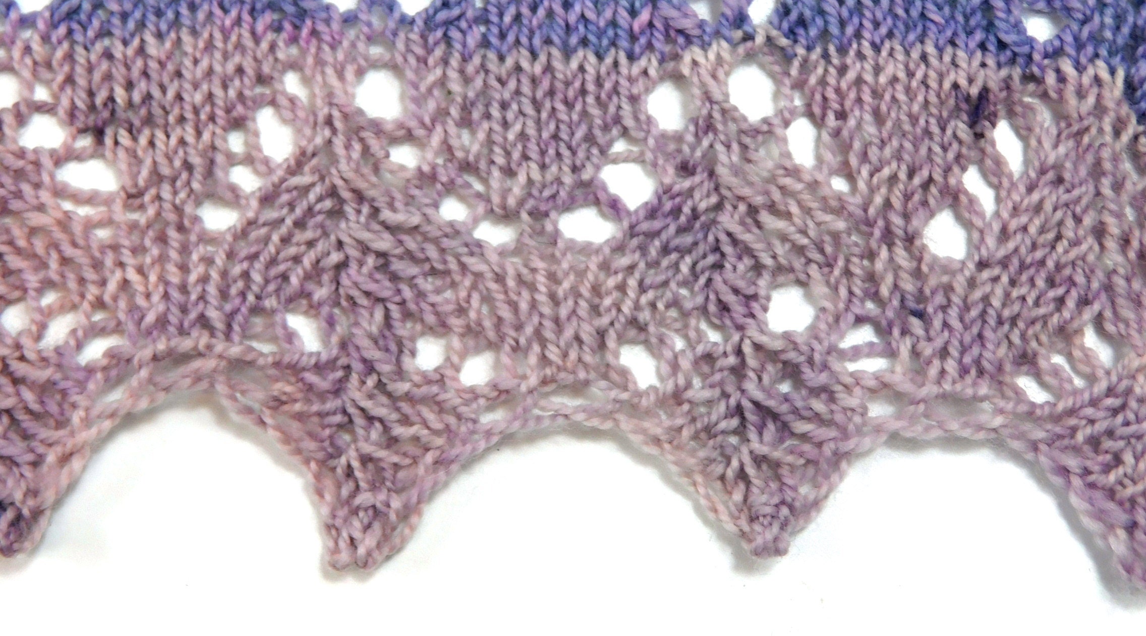 Horseshoe lace close up