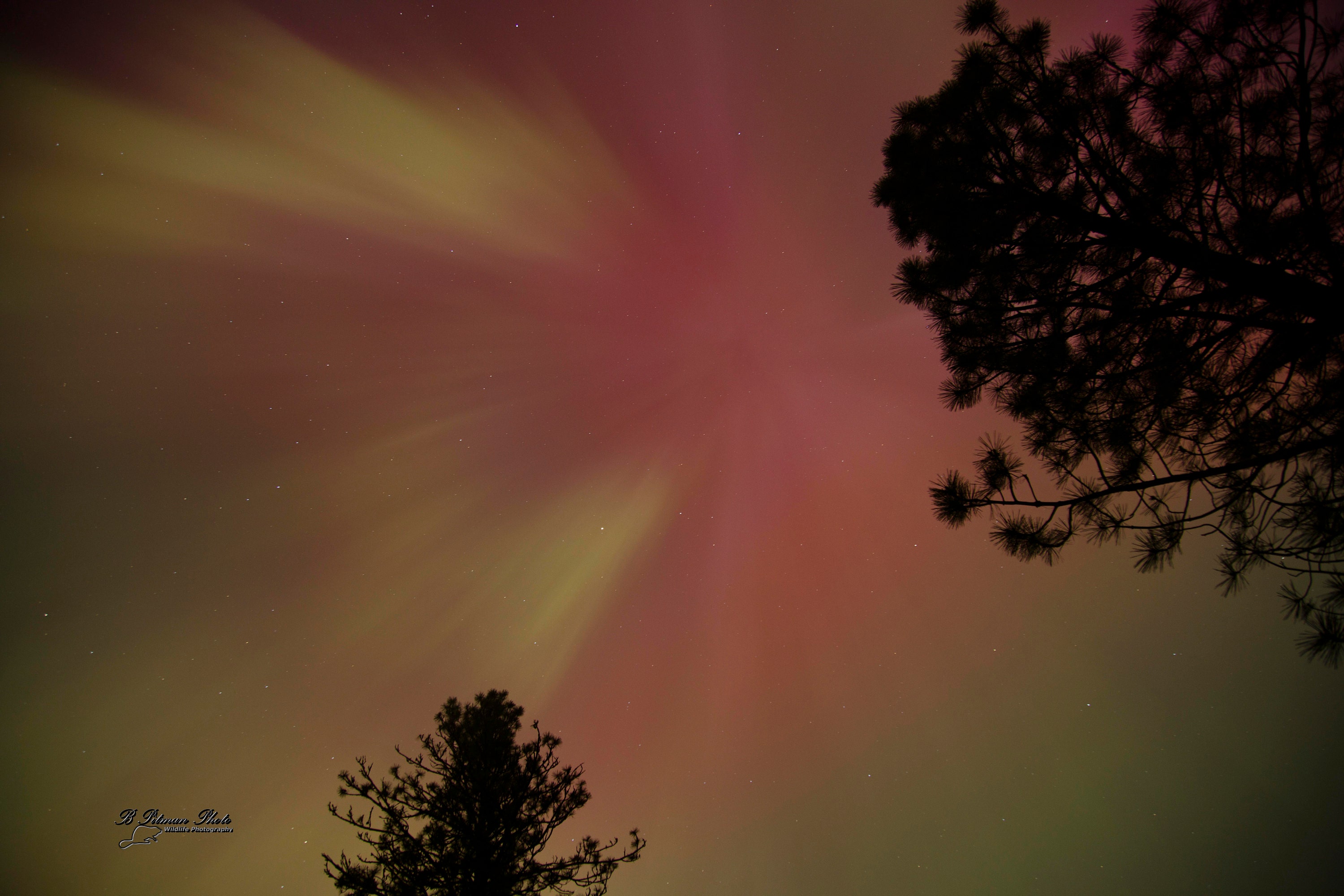 May 10th Aurora, 5600K with no Color Adjustment