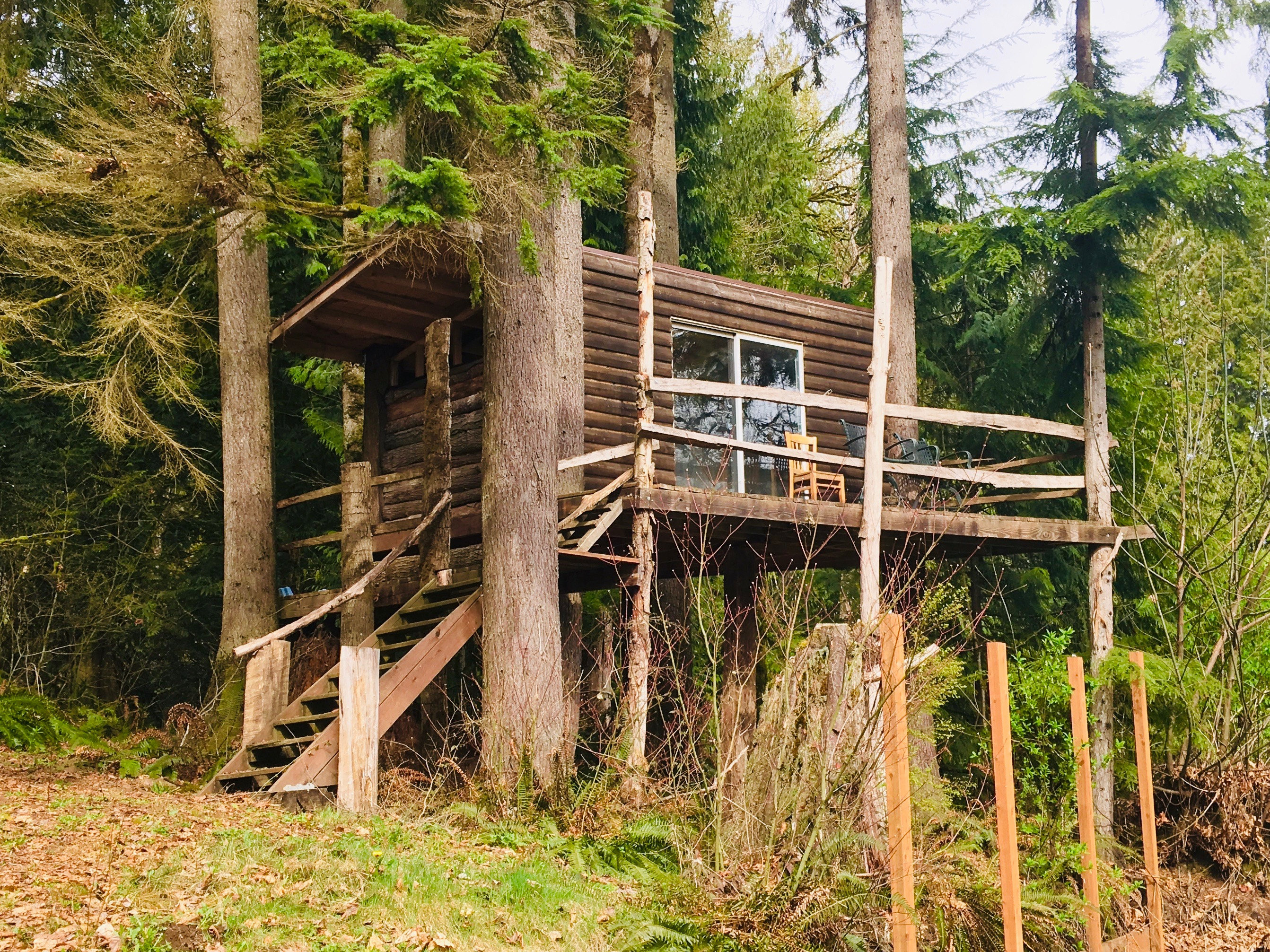 Treehouse renovation - the before