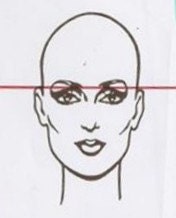 Face Shape2