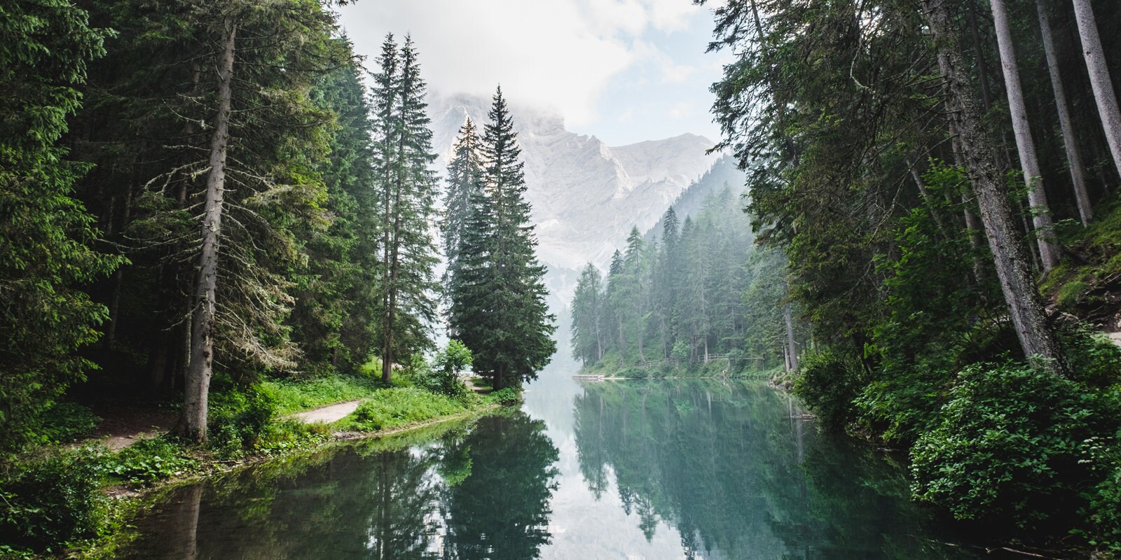 river flowing through a misty fores