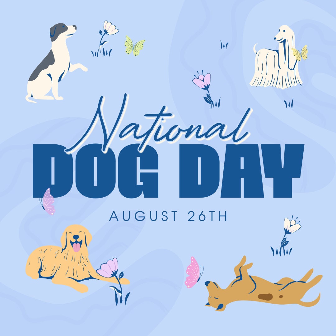 Celebrate National Dog Day 2024 Fun Activities, Heartwarming Stories