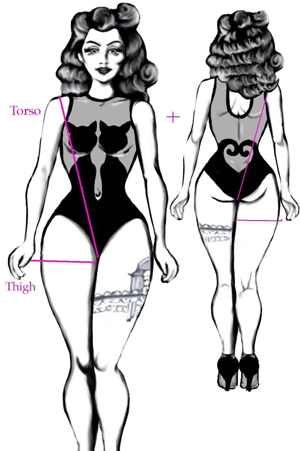 Torso and Thigh Measurements